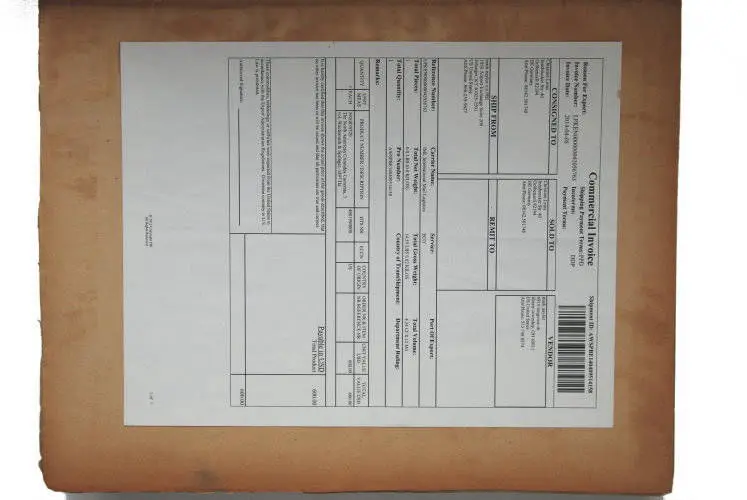 Fossilshop_books_Wachsmuth-Springer_01c