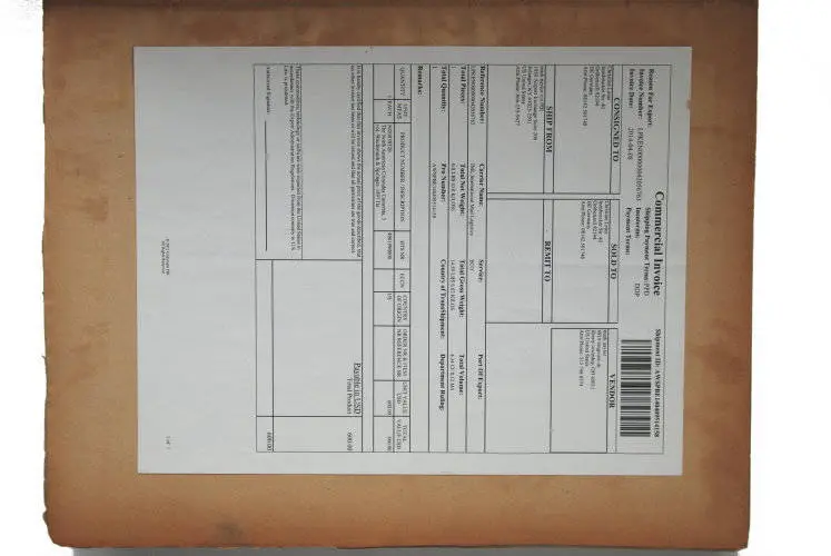 Fossilshop_books_Wachsmuth-Springer_01c