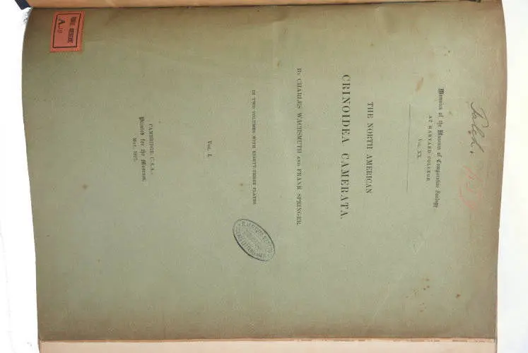 Fossilshop_books_Wachsmuth-Springer_01d