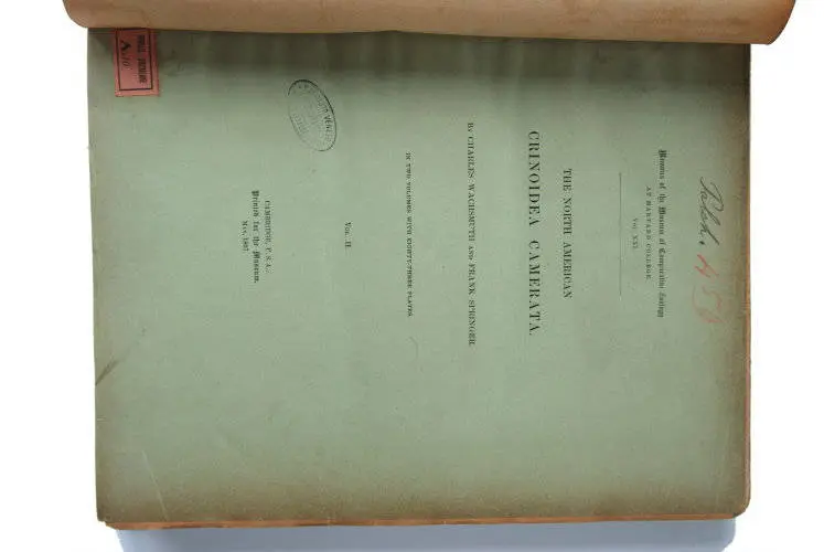 Fossilshop_books_Wachsmuth-Springer_01f