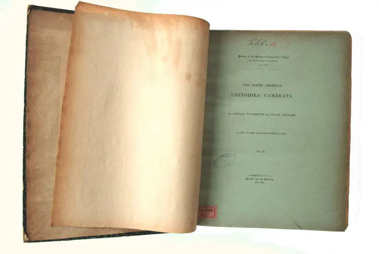 Fossilshop_books_Wachsmuth-Springer_01i