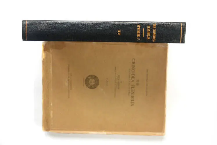 Fossilshop_books_Springer_Flexibilia_02a