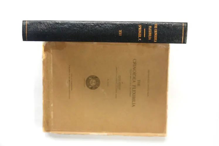 Fossilshop_books_Springer_Flexibilia_02a