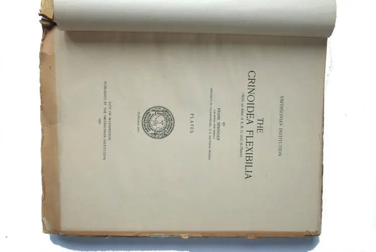 Fossilshop_books_Springer_Flexibilia_02b