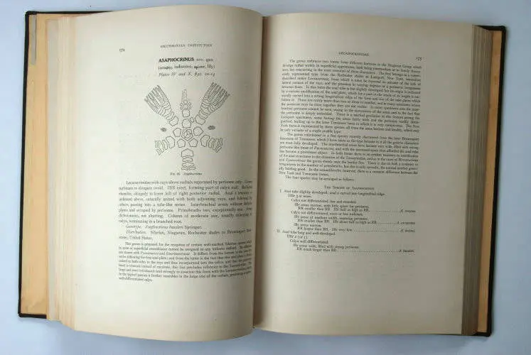 Fossilshop_books_Springer_Flexibilia_02l