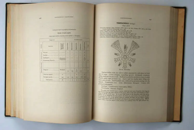 Fossilshop_books_Springer_Flexibilia_02l