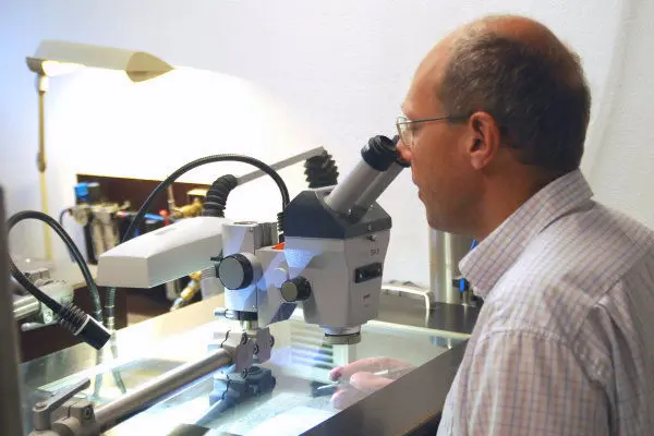 Fossils_Preparation Fossils_Preparation