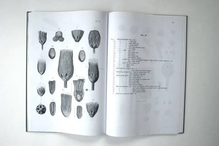 Fossilshop_books_Angelin_Crinoideorum_01c