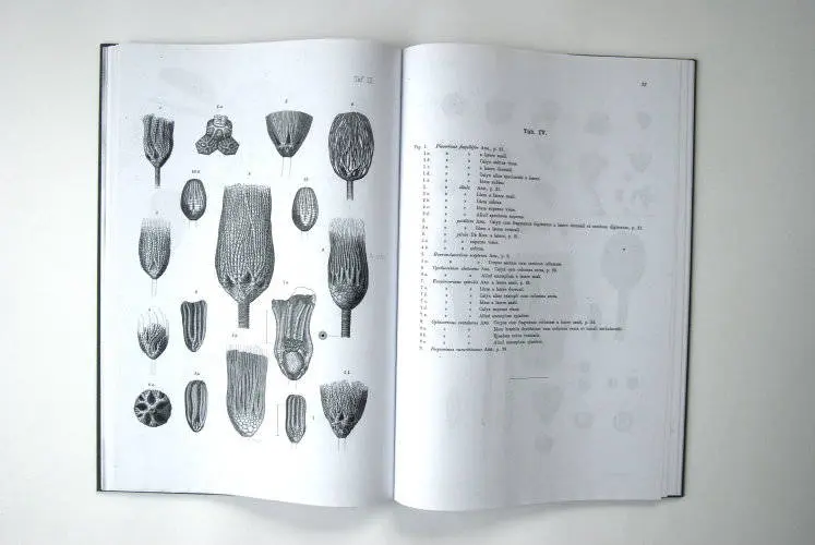 Fossilshop_books_Angelin_Crinoideorum_01c