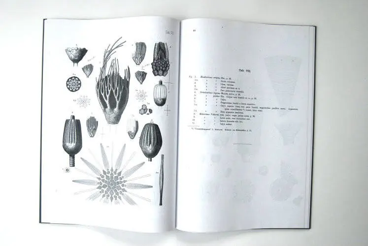 Fossilshop_books_Angelin_Crinoideorum_01d