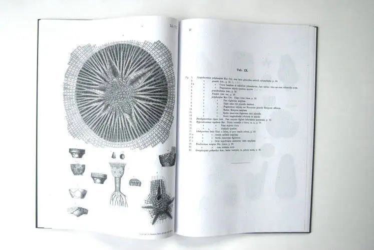 Fossilshop_books_Angelin_Crinoideorum_01e