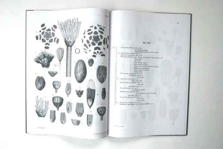 Fossilshop_books_Angelin_Crinoideorum_01f