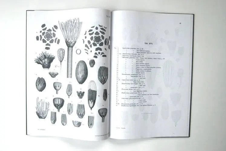 Fossilshop_books_Angelin_Crinoideorum_01f