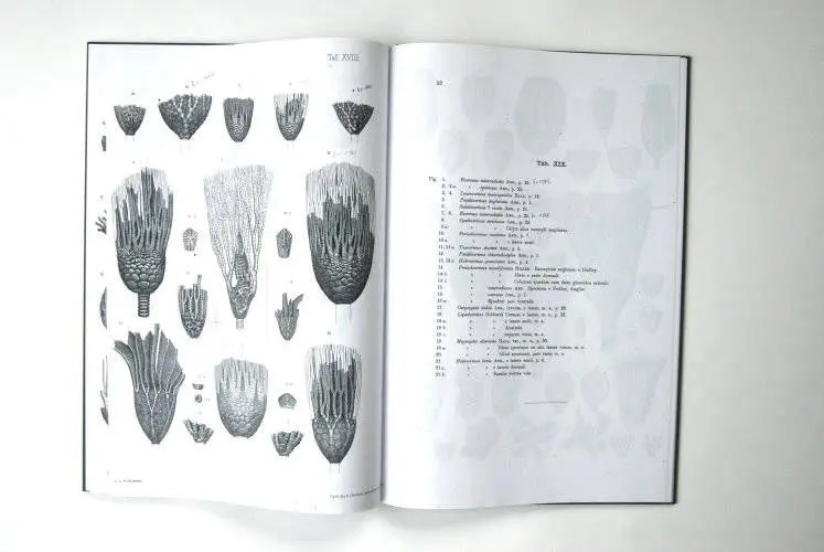 Fossilshop_books_Angelin_Crinoideorum_01g