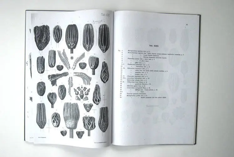 Fossilshop_books_Angelin_Crinoideorum_01h