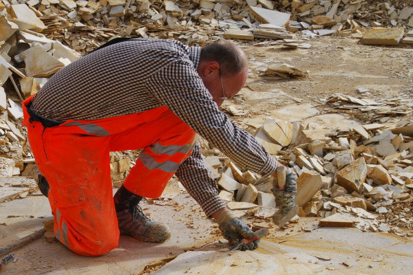 Fossils_Excavation