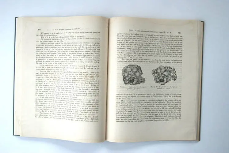 Fossilshop_books_Bather_Crinoidea_01b