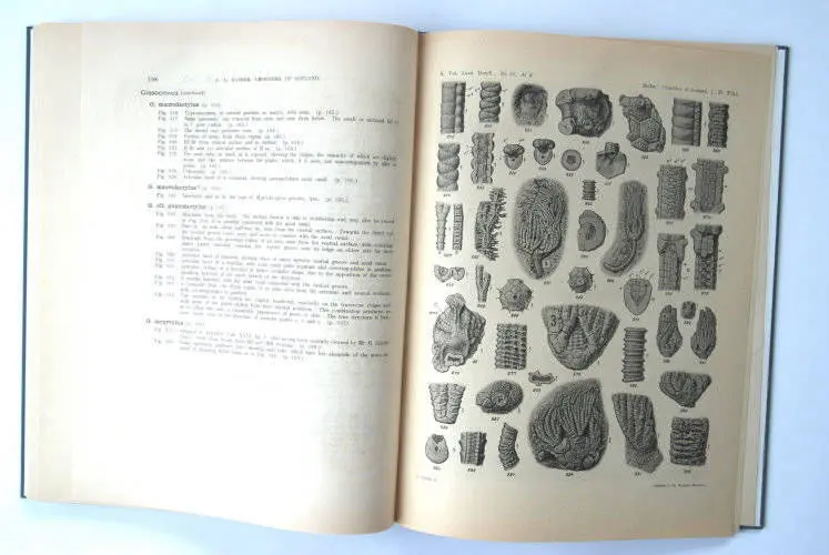 Fossilshop_books_Bather_Crinoidea_01c