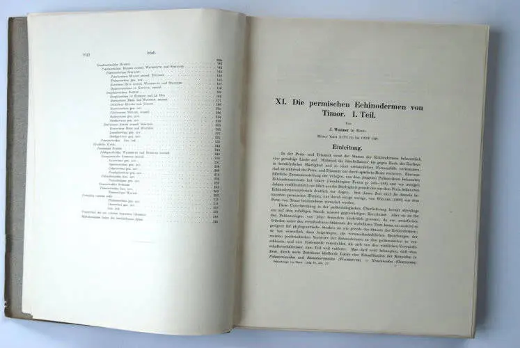 Fossilshop_books_Wanner_Timor_01b