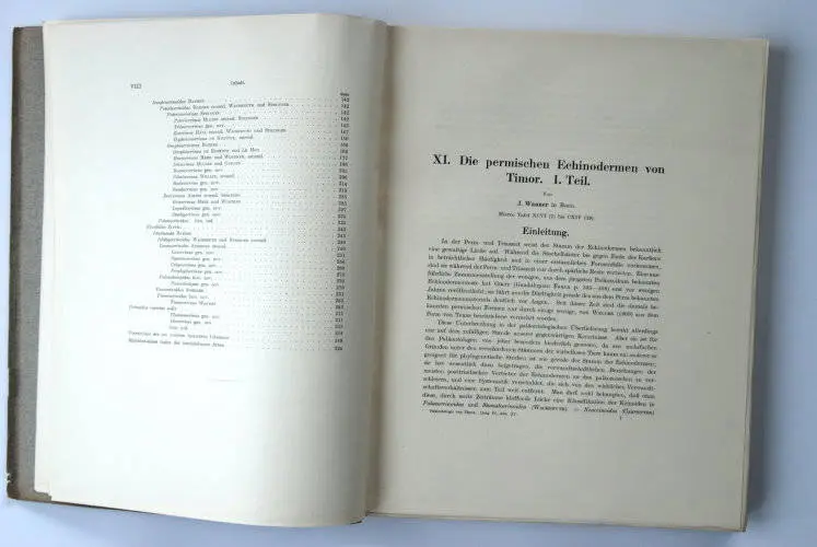 Fossilshop_books_Wanner_Timor_01b