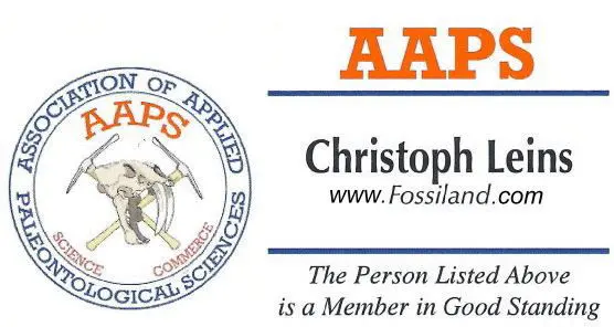 Fossils_Quality_Promise Fossils_Quality_Promise