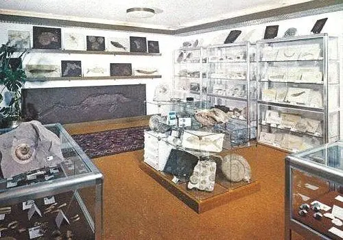 Fossiland_Story Fossiland_Story