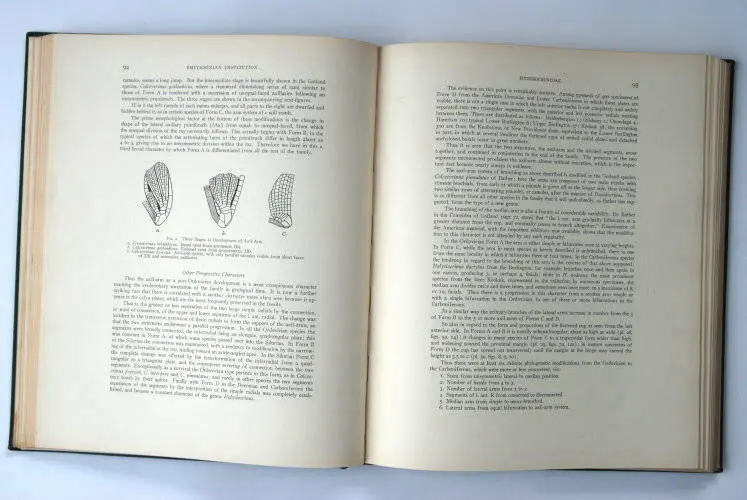 Fossilshop_books_Springer_Silurian crinoids_03d