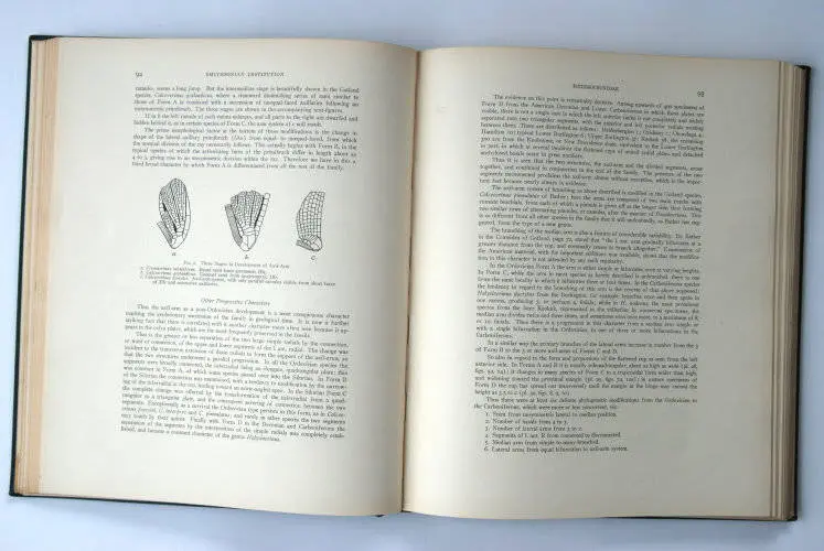 Fossilshop_books_Springer_Silurian crinoids_03d