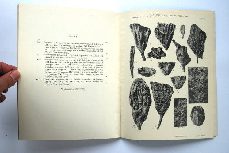 Fossilshop_books_Ramsbottom_Crinoidea_01c