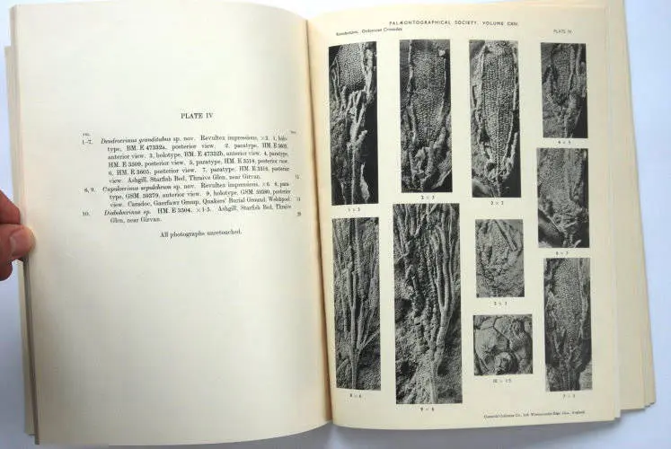 Fossilshop_books_Ramsbottom_Crinoidea_01d