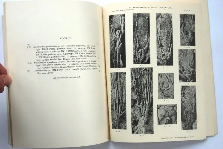 Fossilshop_books_Ramsbottom_Crinoidea_01d