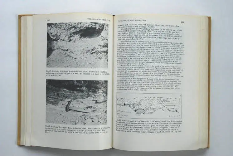 Fossilshop_books_Manten_Gotland_01d