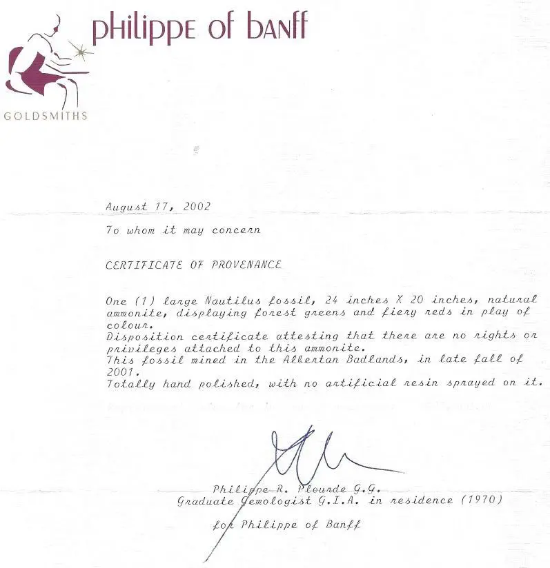 Ammolite_Placinteras Meeki_Bearspaw Formation_01h