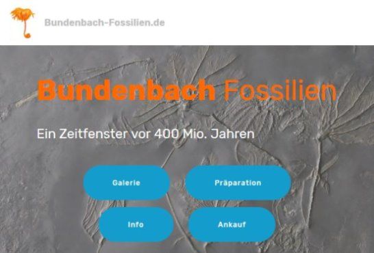 www.bundenbach-fossilien.de