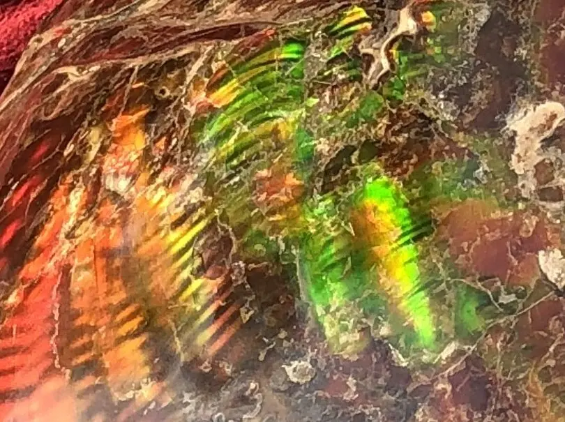 Ammolite_Color