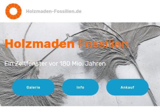 www.holzmaden-fossilien.de